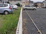除草 2.jpg