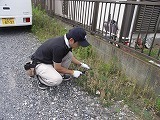 除草作業中